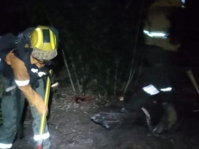 Hubo un incendio subterráneo por un fogón en el Parque Nacional Lanín en un lugar no habilitado
