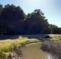 ¡En el Canal Bejarano! Hallazgo de los vecinos de Neuquén. Mirá