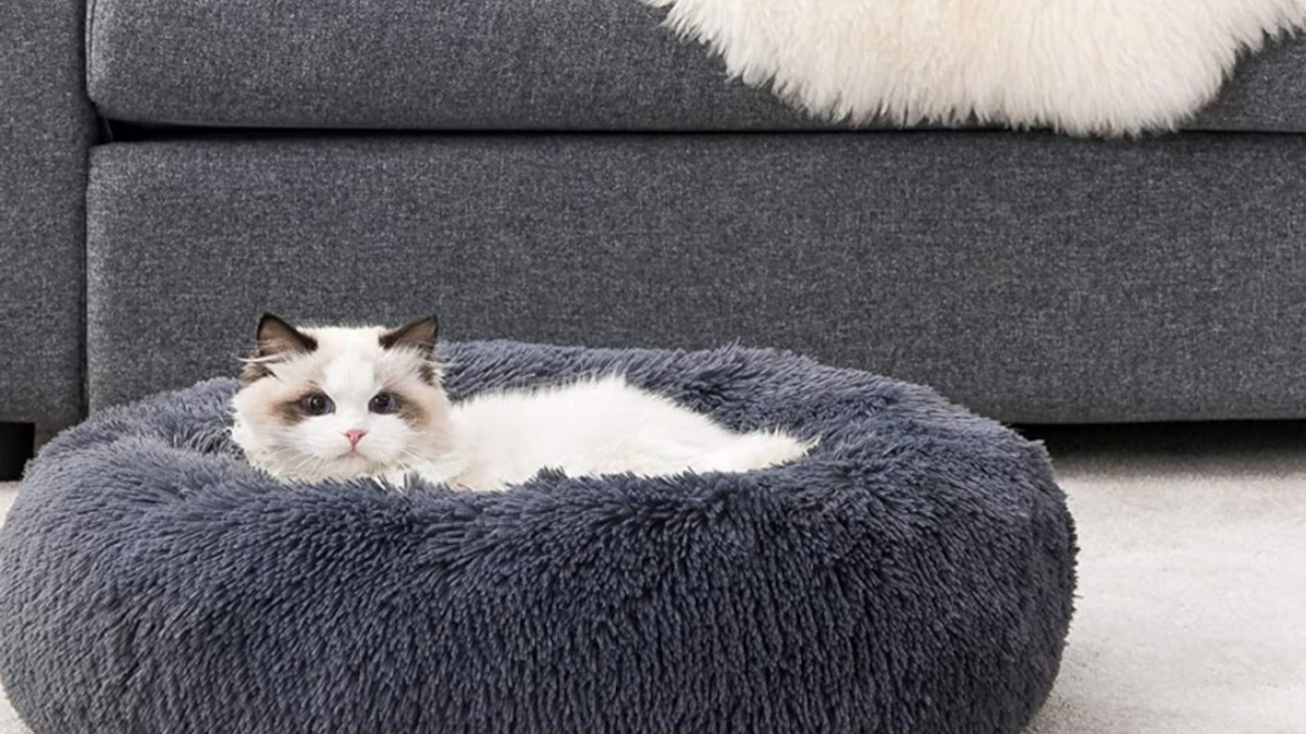 Camita para gatos. Fuente: (Instagram)