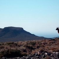 La ruta turística que conecta los sabores y paisajes más lindos de Vaca Muerta