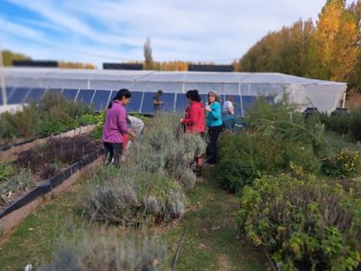 Plottier tendrá un laboratorio para el cultivo de tejidos vegetales in vitro