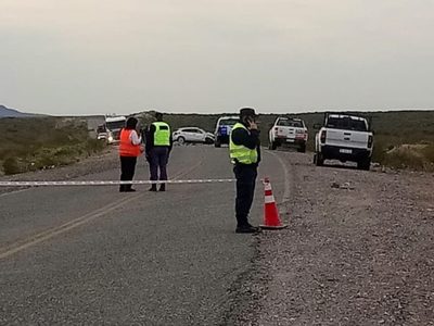 Rincón de los Sauces: murió un adolescente tras volcar un auto sobre la ruta 6