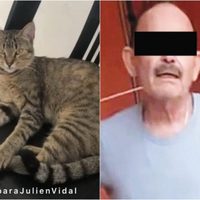 Dictan prisión preventiva a sujeto que asesinó a la gatita "Julien"