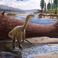 Descubren el dinosaurio más antiguo conocido de África