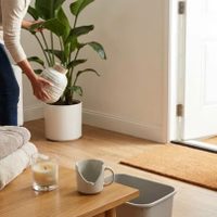 Feng Shui: los 5 objetos que deberías sacar de tu casa si no querés atraer la pobreza en 2026
