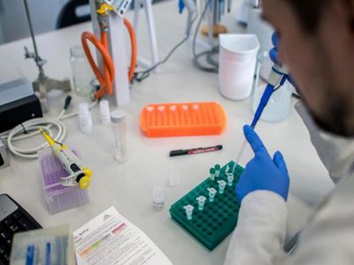 Los casos activos de COVID 19 varían día a día en Zapala, con ocupación completa de terapia