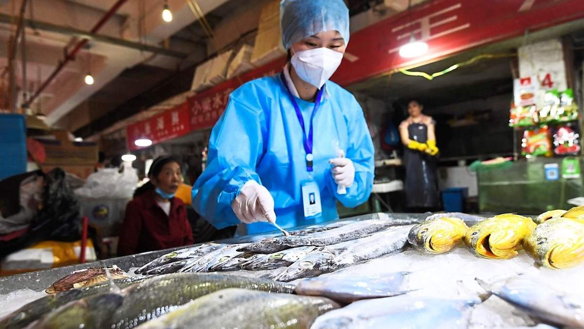 Se hallaron 22 muestras del virus activo en alimentos congelados o sus envases. Fuente: (Twitter)
