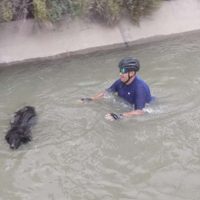 Un policía rescató a un perro que se ahogaba en un canal de riego en Vista Alegre