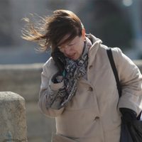 Alerta meteorológica por viento: diez provincias afectadas para este sábado