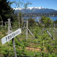 Una alternativa turística en Villa La Angostura: visita a las ecohuertas