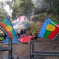 Emanuel Ginóbili busca llevar a juicio a mapuches por tierras en el cerro Belvedere