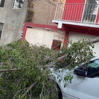 Se va el frente frío 37 pero seguirán vientos fuertes y lluvias entre lunes y jueves