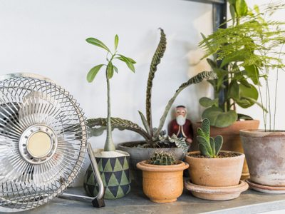 No tires los ventiladores viejos: mirá cómo reutilizarlos como macetas para tus plantas