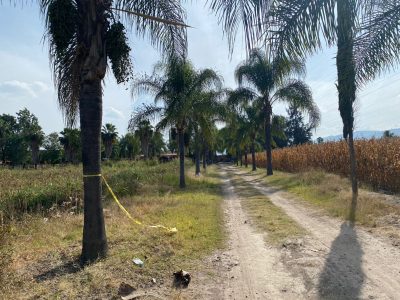 Guardia Nacional localiza fosas clandestinas en Tlajomulco (Video)