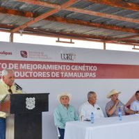 Impulsa Tamaulipas sector ganadero con Programa de Mejoramiento Genético