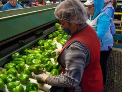 Tras queja de EU por conflicto laboral en Silao, México lo cuestiona por derechos laborales de migrantes