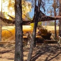 Rusia lanza intenso bombardeo con misiles y drones sobre Ucrania por tercera vez en 4 días