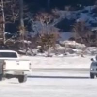 Imponen una insólita multa al joven que dañó una araucaria mientras hacía trompos con su 4x4