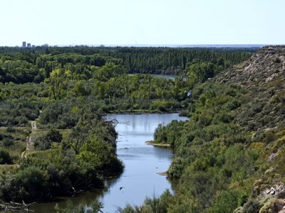 Neuquén Capital: lagunas artificiales ¿en riesgo de extinción?