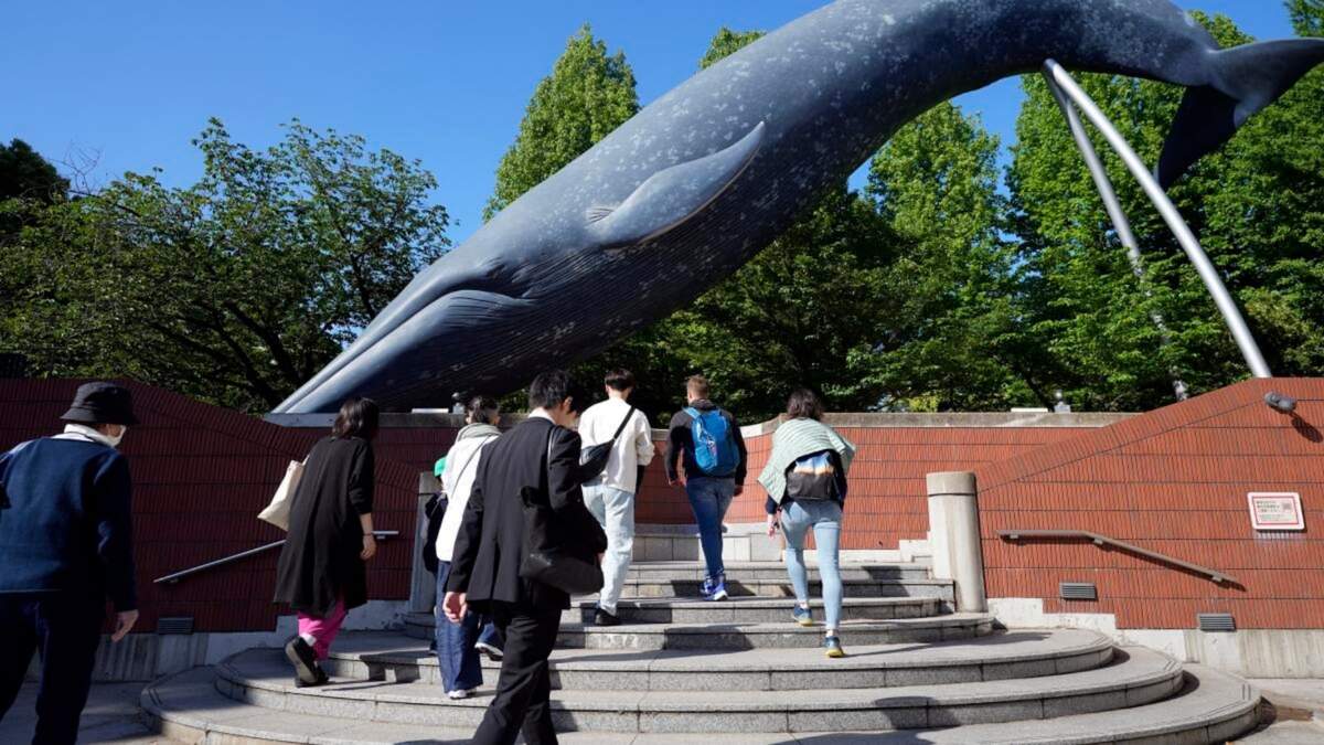 Gente pasa junto a un modelo de tamaño real de una ballena en el Museo Nacional de Ciencias