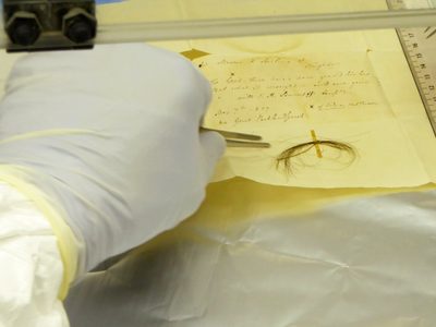 ¿Qué hizo enfermar a Beethoven? Buscan pistas en su cabello
