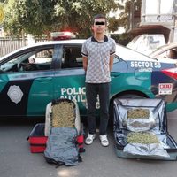 Joven con dos maletas repletas de mariguana es detenido en la TAPO; iba para Veracruz