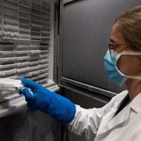Río Negro suma tres nuevos casos de coronavirus y cuatro pacientes recuperados