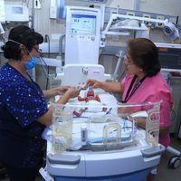 El IMSS reporta nacimiento de quintillizos; la madre se sometió a inseminación artificial
