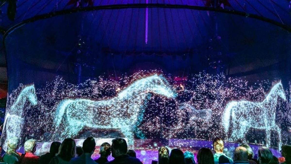 Circo con animales pero en hologramas. Fuente: (Instagram)