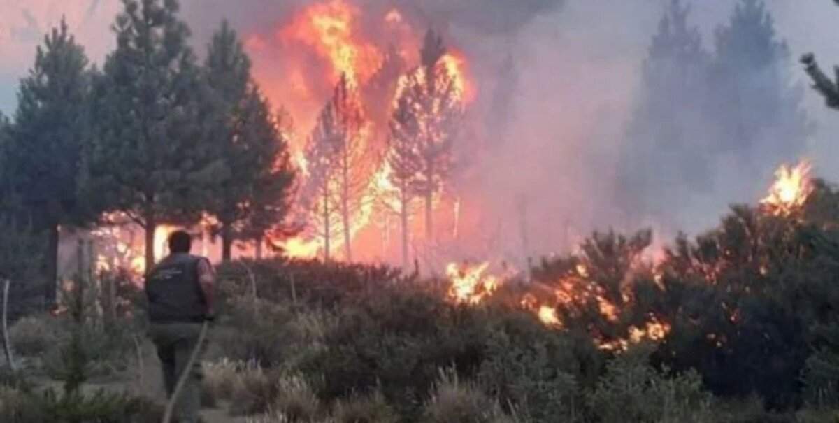 Incendio forestal en San Martín de los Andes. Fuente: (El Litoral).