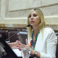 Reforma judicial: una senadora aseguró que el oficialismo conseguirá la media sanción