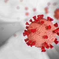 Coronavirus: Neuquén confirmó 22 nuevos casos positivos