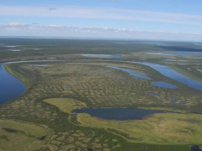 La tundra de Siberia podría desaparecer a mitad del milenio