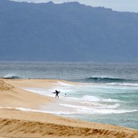 Socorrista profesional muere por un ataque de tiburón cuando hacía surf