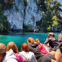 La belleza del Bosque sumergido en Lago Traful