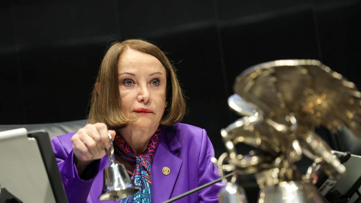 Laura Itzel Castllo, en la sesión de este miércoles del Senado