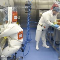El primer infectado por coronavirus sería un empleado del laboratorio donde se habría creado el virus