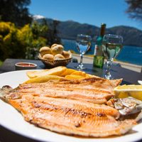 Conocé Neuquén a través de su gastronomía: un viaje por sus rincones más increíbles