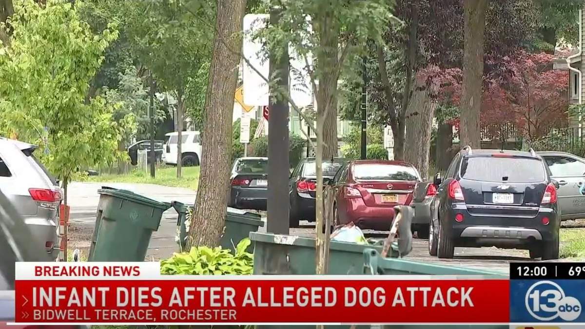 Vecindario de Bidwell Terrace en Rochester, donde ocurrieron los hechos