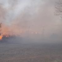Se prendieron fuego cuatro hectáreas en Plottier