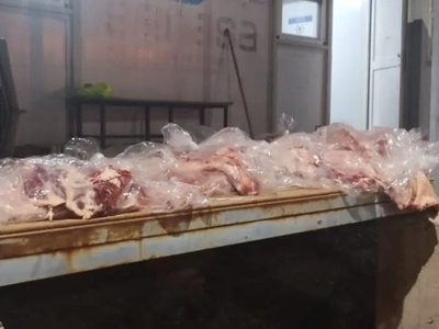 Detuvieron un rodado que transportaba 600 kilos de carne con hueso que iba a Rincón de los Sauces