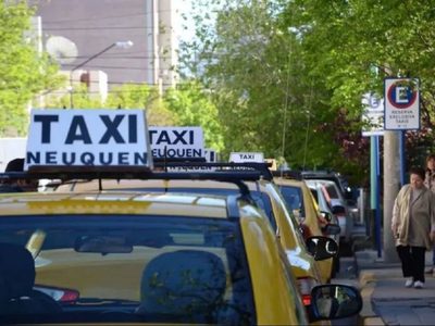 La municipalidad de Neuquén destacó la App Taxi Go y la consideró una solución segura para los usuarios