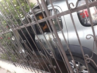 Artículo 19 exige mecanismos de protección para el periodista sonorense Alejandro Matty