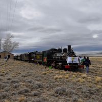 El histórico tren La Trochita volvió a circular en la Provincia de Río Negro