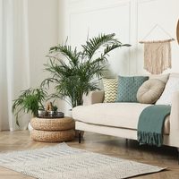 Si no sabés cómo decorar tus espejos, mirá esta idea "low cost" que queda realmente sorprendente