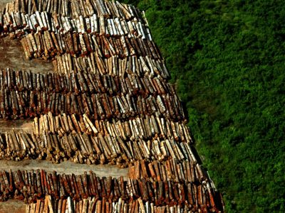 La destrucción de la Amazonia alcanzó un nuevo récord: informe desde Brasil