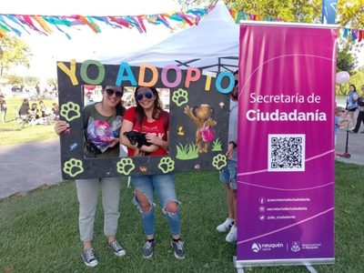 Nueva jornada de adopción de perros y gatos en la Isla 132 del Paseo Costero del Limay