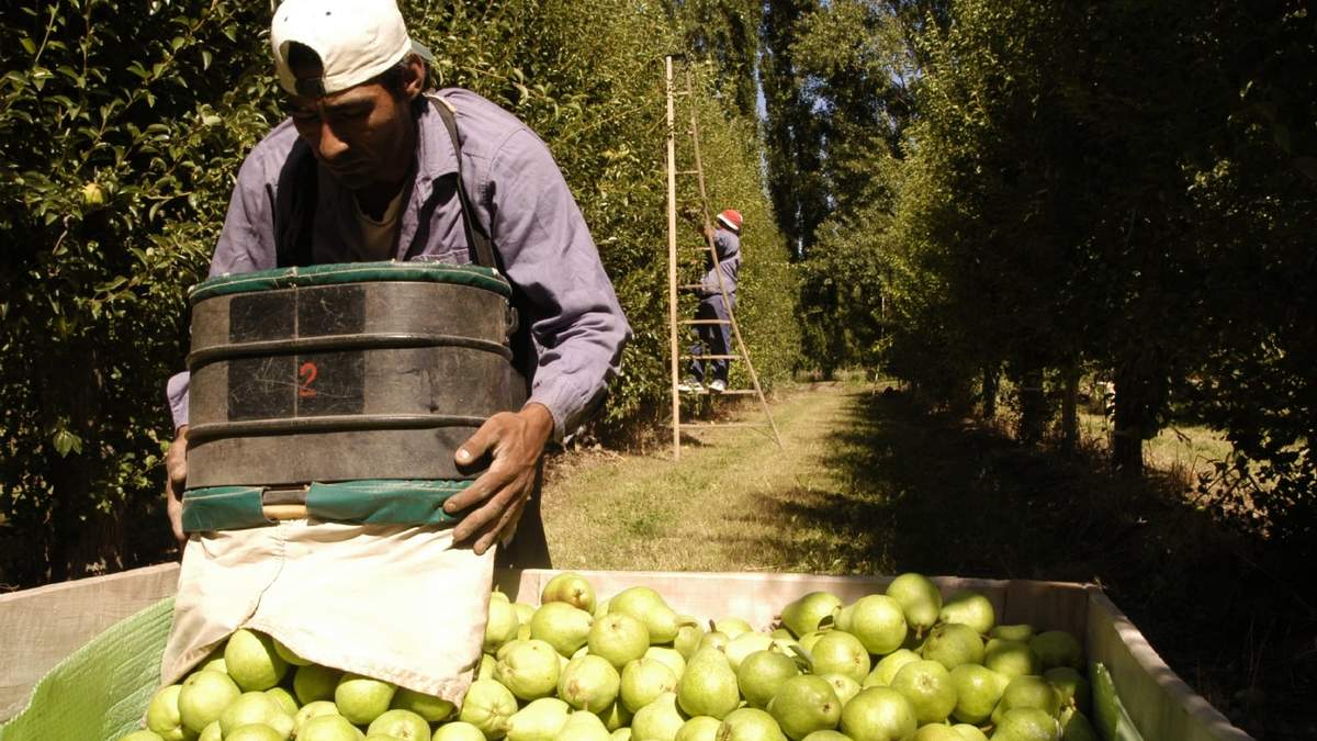 Cerca de 1.800 productores de el Valle declararon perdidas. Fuente: (Twitter)