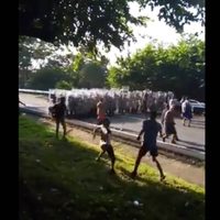 Chocan migrantes e integrantes de la Guardia Nacional; cinco agentes heridos (Video)