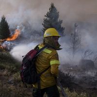 Integrante del Sistema Provincial de Manejo del Fuego se refirió a los incendios en Aluminé